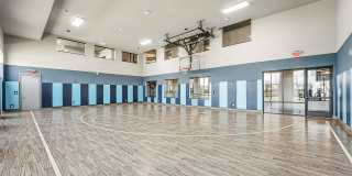 Discovery Park Gallery 24