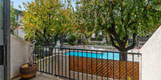7137 Shoup Avenue Gallery 13