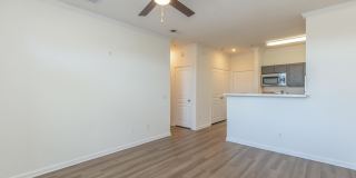 Willow Glen Gallery 46