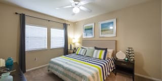 Montelago Gallery 37