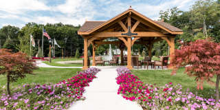 Balsam Place Gallery 18