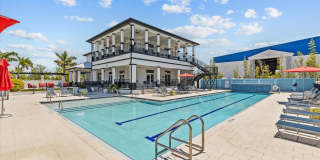 Waterfront Luxury Living | Private Dock + Direct Tampa Bay Access Gallery 4