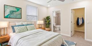 3405 W SWANN AVENUE Gallery 15