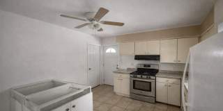 46 Elmira Street Gallery 8