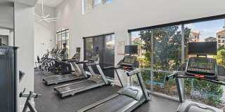 Avalon Frisco Gallery 17