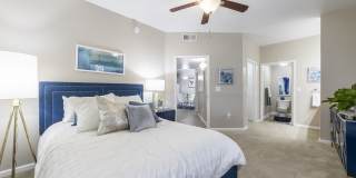 Canyon Vista Gallery 20