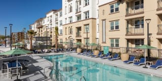 Senior Housing- Palmia, Age 55+ Luxury Apartments Gallery 28