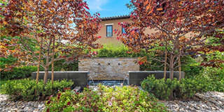 102 Orchid Gallery 6