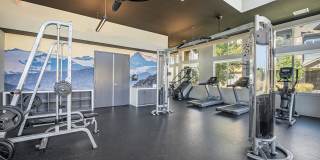 The Tenzing Gallery 9