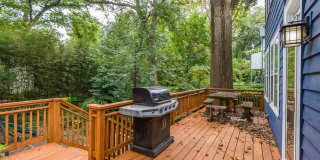 3 Bed 2.5 Bath - Takoma Park Craftsman - Spacious Rear Deck Gallery 45