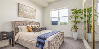 Village at Crystal Springs- Senior Living Gallery 4