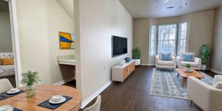 The Mandell Gallery 29