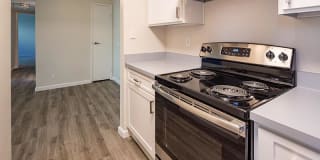 Juniper Apartments Gallery 5