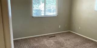 STUDENTS WELCOME! 4 Bed 2 Bath Home in West Ft Collins w/ Garage and Fenced Yard Gallery 23