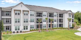 Tapestry Palmera Gallery 72