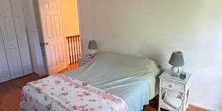 6602 DEER GAP Court Gallery 20