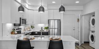 Solis at Petrosa Gallery 6