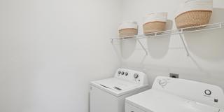 Millennium Gallery 57