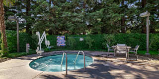 Sterling Oaks Luxury Apartments Gallery 16