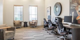 Nolina Flats Nolina Flats Gallery 17