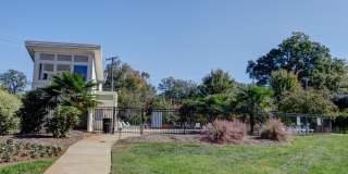 Vyne On Central Gallery 4