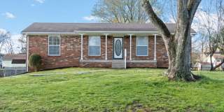 Pet Friendly Renovated Three Bedroom with Basement! Gallery 1