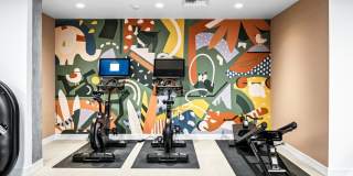 Swell Gallery 41