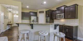 1608 Cascade Falls Lane Gallery 14