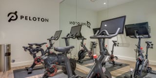 Amaray Las Olas by Windsor Gallery 26