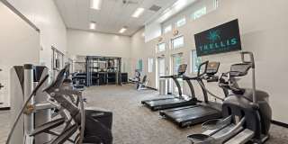 Trellis at the Lakes Gallery 6