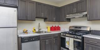 Ashton Heights Gallery 1