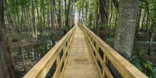 Mosby Ingleside Gallery 19