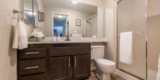 The Seasons Gallery 18