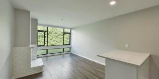 Telegraph Hill Gallery 10