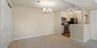1601 CARRIAGE HOUSE Terrace Gallery 6