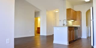 Commons at Boston Road Gallery 22