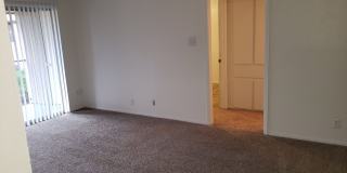 Forest Ridge Gallery 43