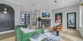 The Ventura Gallery 31