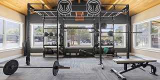 The Lynx The Lynx Gallery 9