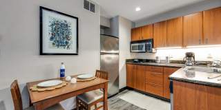 Vivo Living Charlotte Gallery 38