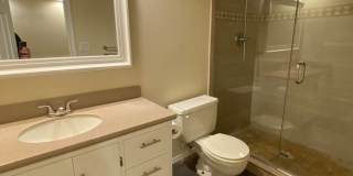 3 bed 2 bath 2 car garage house, freshly repainted Gallery 7