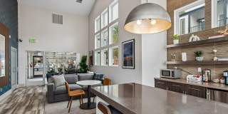 ReNew Pinehurst Gallery 23