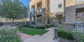 The Village at Town Center Gallery 20