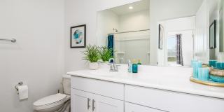 20580 N CONFETTI Court Gallery 13
