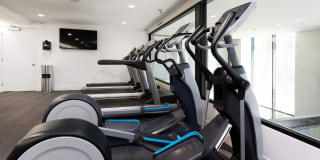 Eton Warner Center Gallery 12