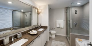 Olympus Harbour Island Gallery 20