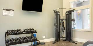 Vue Issaquah Gallery 16