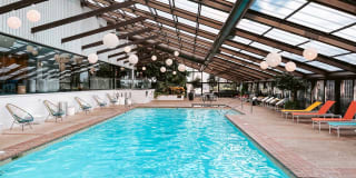 Regents Park Gallery 2