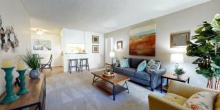 Newport Village Gallery 1