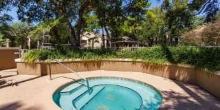 29 Arbor Club Drive #209 Gallery 25